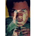 road009.jpg